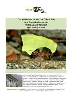 You are Invited to Join the Toledo Zoo on a Tropical Adventure to TRINIDAD AND TOBAGO April 26-May 3, 2015  Join expert staff of the Toledo Zoo to explore the Asa Wright Nature Centre &