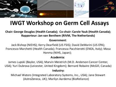 IWGT Workshop on Germ Cell Assays Chair: George Douglas (Health Canada); Co-chair: Carole Yauk (Health Canada); Rapporteur: Jan van Benthem (RIVM, The Netherlands) Government: Jack Bishop (NIEHS); Kerry Dearfield (US FSI
