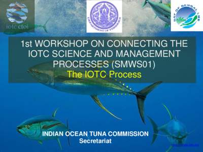 1st WORKSHOP ON CONNECTING THE IOTC SCIENCE AND MANAGEMENT PROCESSES (SMWS01) The IOTC Process  INDIAN OCEAN TUNA COMMISSION