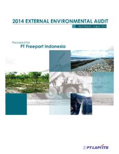 Microsoft WordPTFI External Audit Report-2014.docx