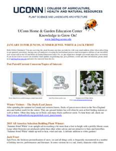 UConn Home & Garden Education Center Knowledge to Grow On! www.ladybug.uconn.edu JANUARY IS FOR JUNCOS, SUMMER JEWEL WHITE & JACK FROST Hello Fellow Gardeners! You are receiving this email because you have provided us wi