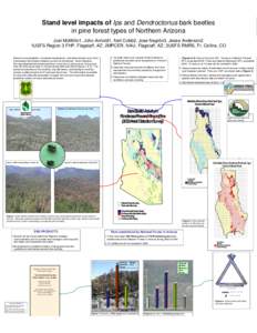 Stand level impacts of Ipsand Dendroctonusbark beetles in pine forest types of Northern Arizona