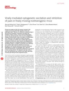 letters  Virally mediated optogenetic excitation and inhibition of pain in freely moving nontransgenic mice  © 2014 Nature America, Inc. All rights reserved.