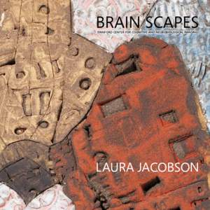 Brain Scapes Stanford Center for Cognitive and Neurobiological Imaging LAURA JACOBSON  Brain Scapes