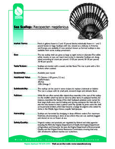 SEA Fact Sheet 2003-sea scallop