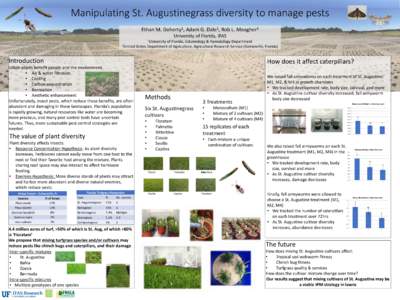 Manipulating St. Augustinegrass diversity to manage pests