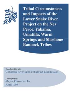 Tribal Circumstances and Impacts of the Lower Snake River Project on the Nez Perce, Yakama, Umatilla, Warm