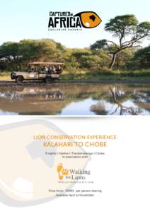 Africa / Culture / Zambezi Region / Chobe National Park / Cuando River / Kasane / Kalahari Desert / Impalila / Botswana / Lion / Chobe / Safari