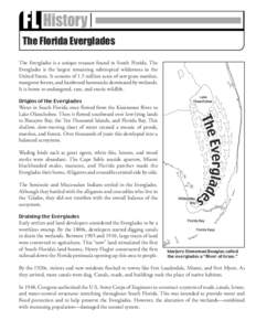 FL History  Early 1800s The Florida Everglades The Everglades is a unique treasure found in South Florida. The