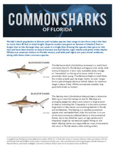 SGEF 203 Common Sharks of Florida