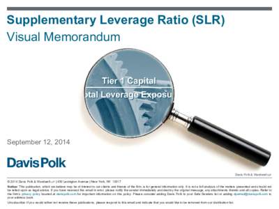 Supplementary Leverage Ratio