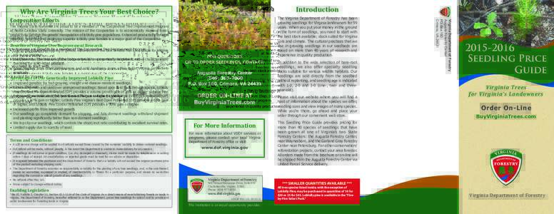 Introduction  Why Are Virginia Trees Your Best Choice? The Virginia State Nurseries are proud to be a member of The Cooperative Tree Improvement Program at North Carolina State University. The mission of the Cooperative 