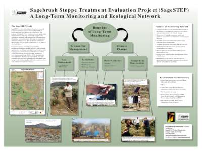 Basin and Range Province / Geography of the United States / Sagebrush steppe / Climate change / Geography of North America / Western United States / Artemisia tridentata