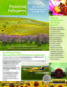 Plant reproduction / Biology / Beekeeping / Natural environment / Pollination / Pollinator decline / Plant sexuality / Biocides / Pesticide toxicity to bees / Pollinator / Pesticide / North American Pollinator Protection Campaign