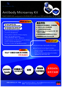Antibody Microarray Kit TWO SAMPLES analyzed in DUPLICATE with over 850 antibodies AT A TIME What we have 產品特色