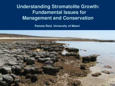 Understanding Stromatolite Growth: Fundamental Issues for Management and Conservation Pamela Reid, University of Miami  Symposium on Research and Conservation