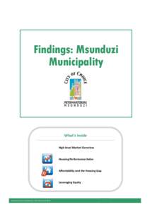 Findings: Msunduzi Municipality What’s inside High-level Market Overview
