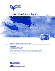 Veterans Health Initiative Traumatic Brain Injury