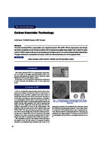 Key Nanotechnologies  Carbon Nanotube Technology IIJIMA Sumio, YUDASAKA Masako, NIHEY Fumiyuki  Abstract