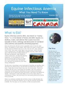 Equine Infectious Anemia What You Need To Know Answers to the most common questions and myths about EIA, for horse owners