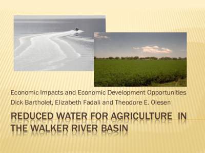 Economic Impacts and Economic Development Opportunities Dick Bartholet, Elizabeth Fadali and Theodore E. Olesen REDUCED WATER FOR AGRICULTURE IN THE WALKER RIVER BASIN