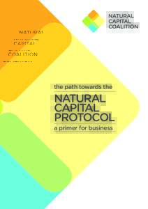 the path towards the  NATURAL CAPITAL PROTOCOL a primer for business