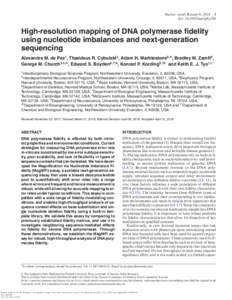 High-resolution mapping of DNA polymerase fidelity using nucleotide imbalances and next-generation sequencing