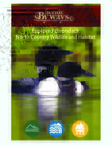 Explore Adirondack North Country Wildlife and Habitat Explore This map contains a sampling of wildlife viewing areas along the Adirondack North Country Byways. It is meant to be a guide to the types of habitats and wild