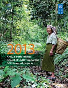 2013  Annual Performance Report of UNDP-supported GEF-financed projects