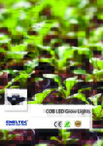 COB LED Grow Lights  COB LED Grow Lights S1 90W
