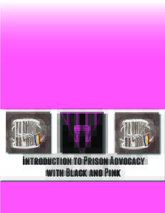 Introduction to Prison Advocacy with Black and Pink Introduction to Prison Advocacy  2