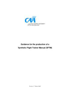 Guidance for the production of a Synthetic Flight Training Manual