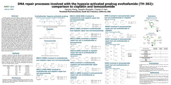 DNA repair processes involved with the hypoxia-activated prodrug evofosfamide (TH-302): comparison to cisplatin and temozolomideFanying Meng, Deepthi Bhupathi, Charles P. Hart