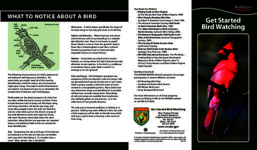 Science / Birdwatching / Bird / Ornithology / David Allen Sibley / Peterson Field Guides / Northern Cardinal / Scarlet Tanager / Pete Dunne / Zoology / Biology / Animal identification