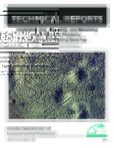 FLORIDA MARINE RESEARCH INSTITUTE  TECHNICAL REPORTS Understanding, Assessing, and Resolving Light-Pollution Problems on Sea Turtle Nesting Beaches