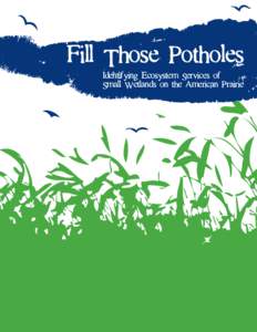Fill Those Potholes Identifying Ecosystem Services of Small Wetlands on the American Prairie 40 Ecosystem Services Edition  •  http://www.naturalinquirer.org