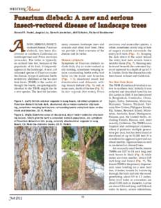 Arborist Fusarium dieback: A new and serious insect-vectored disease of landscape trees