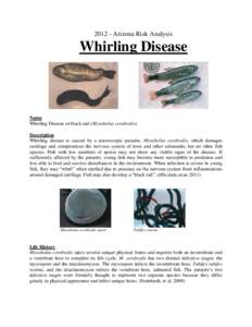 [removed]Arizona Risk Analysis  Whirling Disease Name Whirling Disease or black-tail (Myxobolus cerebralis)