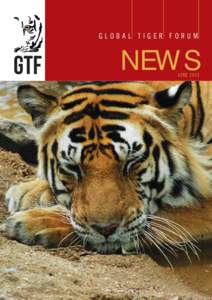 GLOBAL TIGER FORUM  NEWS JUNE 2015  GTF IS NOW ON TWITTER & FACEBOOK - FOLLOW US