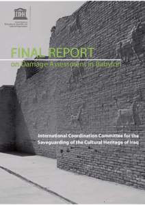 Final report on damage assessment in Babylon; 2009