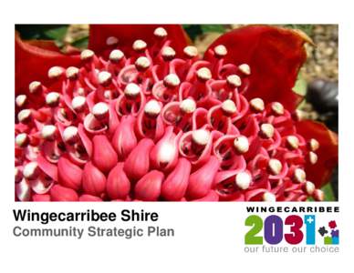 -  Wingecarribee Shire Community Strategic Plan 1
