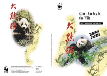 Giant Pandas in the WildA WWF S P E C I E S S TAT U S R E P O RT © 1986, WWF – World Wide Fund For Nature (Formerly World Wildlife Fund) ® WWF Registered Trademark owner7M)