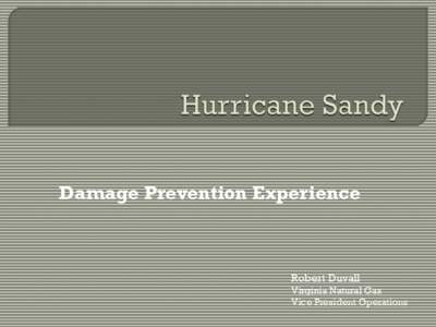 Damage Prevention Experience  Robert Duvall Virginia Natural Gas Vice President Operations