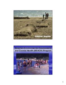 1  Beaches Environmental Assessment and Coastal Health (BEACH) Program  2