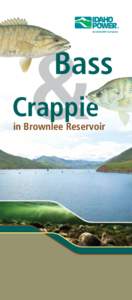 Bass & Crappy in Brownlee Reservoir
