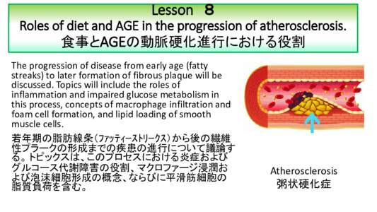 Roles of diet and age in the progression of atherosclerosis. 食事と加齢の動脈硬化進行における役割