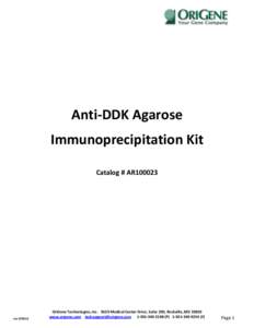 Anti-DDK Agarose Immunoprecipitation Kit Catalog # AR100023 rev