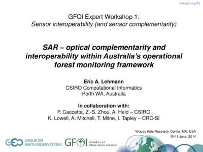 www.gfoi.org/RD  GFOI Expert Workshop 1: Sensor interoperability (and sensor complementarity)  SAR – optical complementarity and