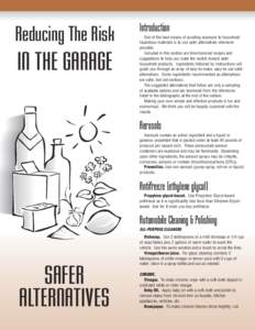 Reducing The Risk  IN THE GARAGE Introduction One of the best means of avoiding exposure to household