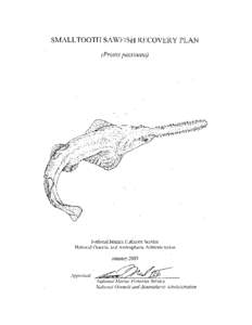 Recovery Plan for Smalltooth Sawfish (Pristis pectinata) 2009
